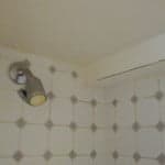 Painting A Bathroom Shower With Mildew