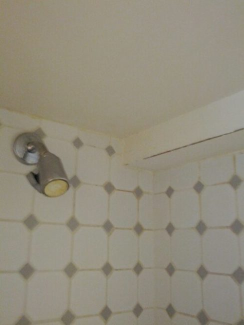Bathroom With Mildew image